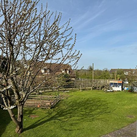 Mulberry Lawn Apartments Brading Bagian luar foto